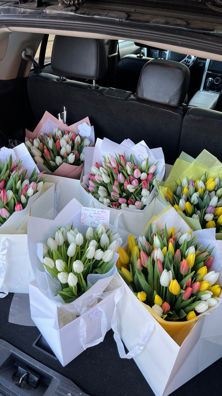 Spring Collection
