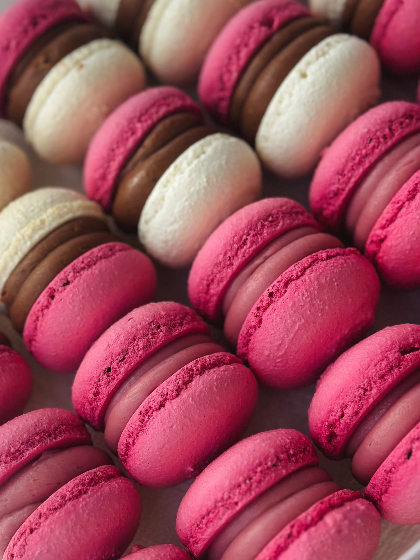 Box of 8 Assorted Macarons