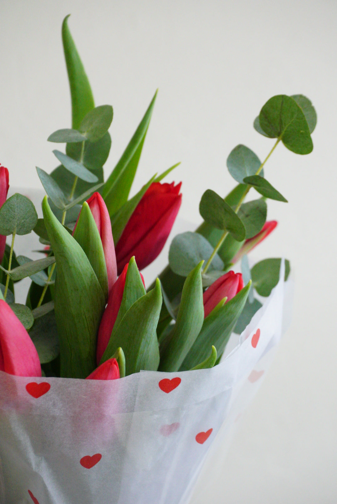 Bouquet of Tulips