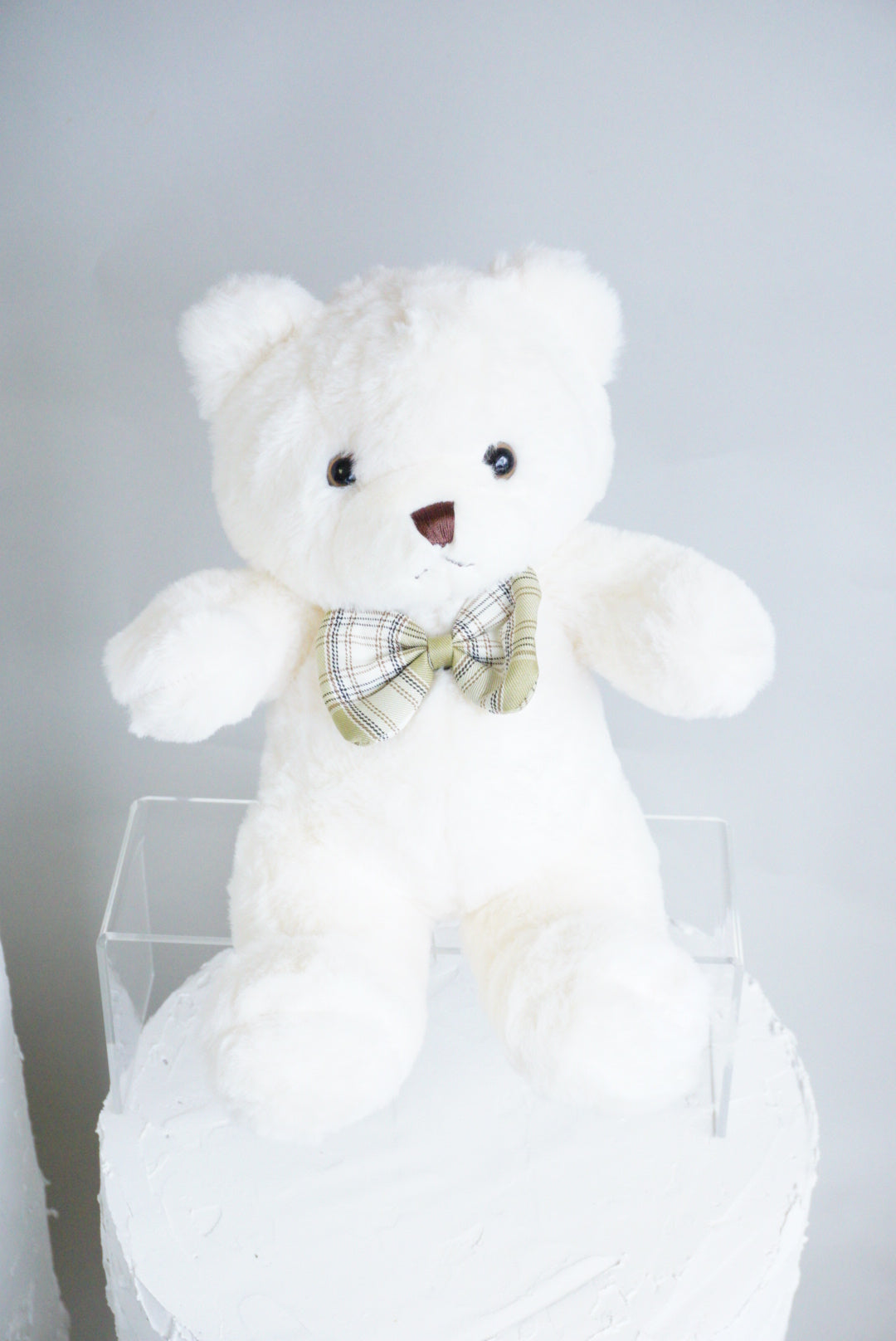 Teddy Bear