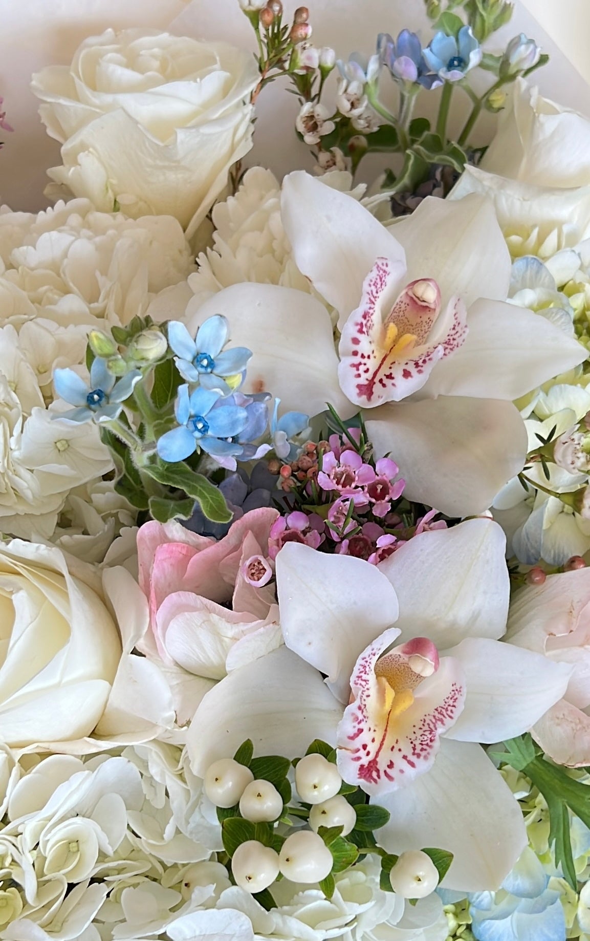 The Soft Bloom