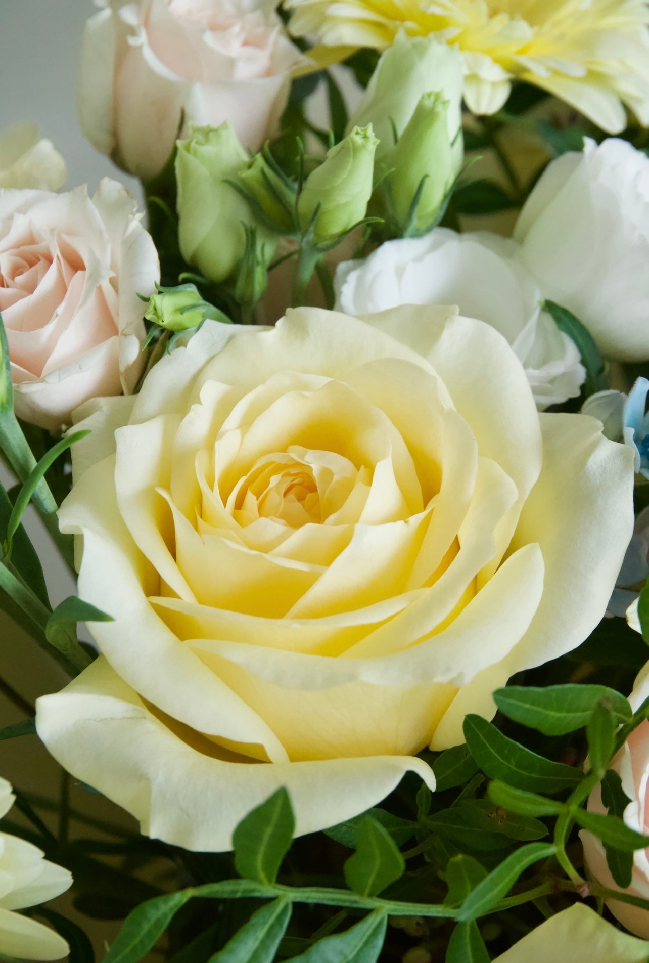 Lemon Cream Bouquet