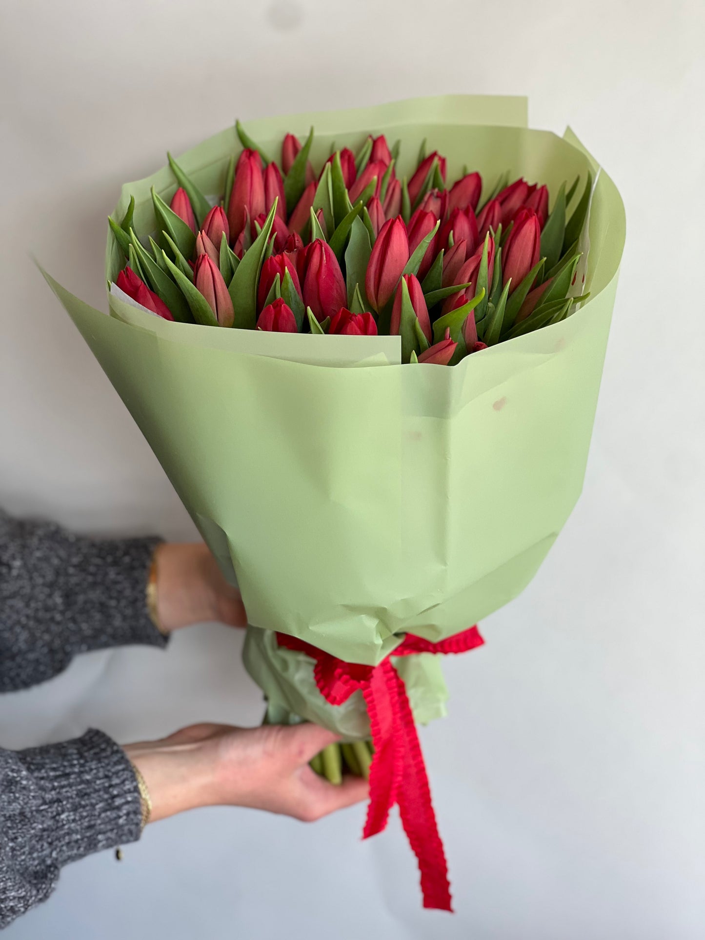 50 Incredible Tulips