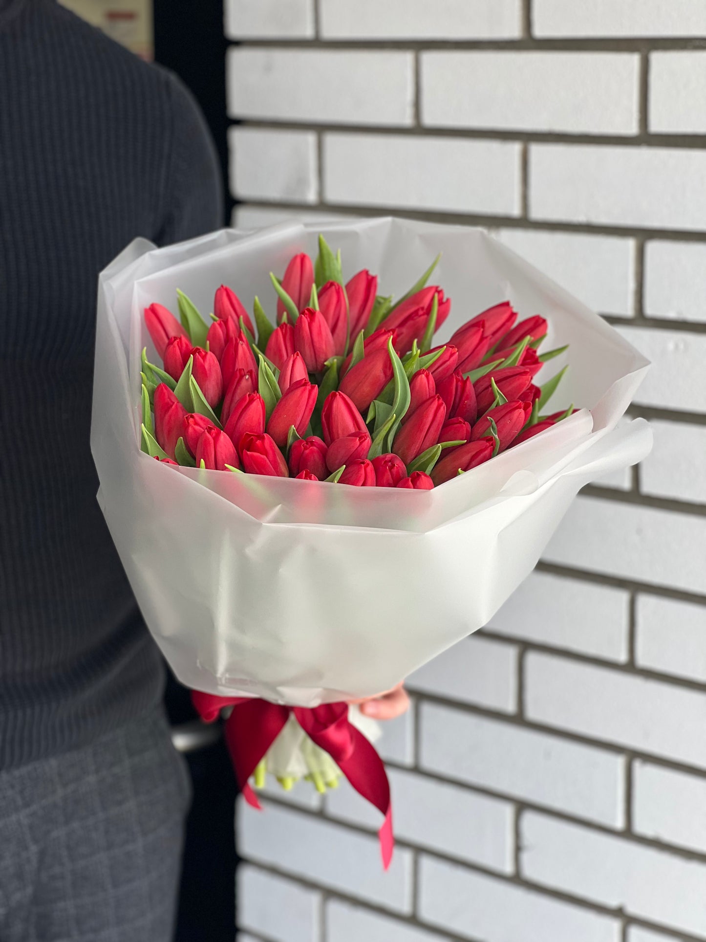 50 Incredible Tulips
