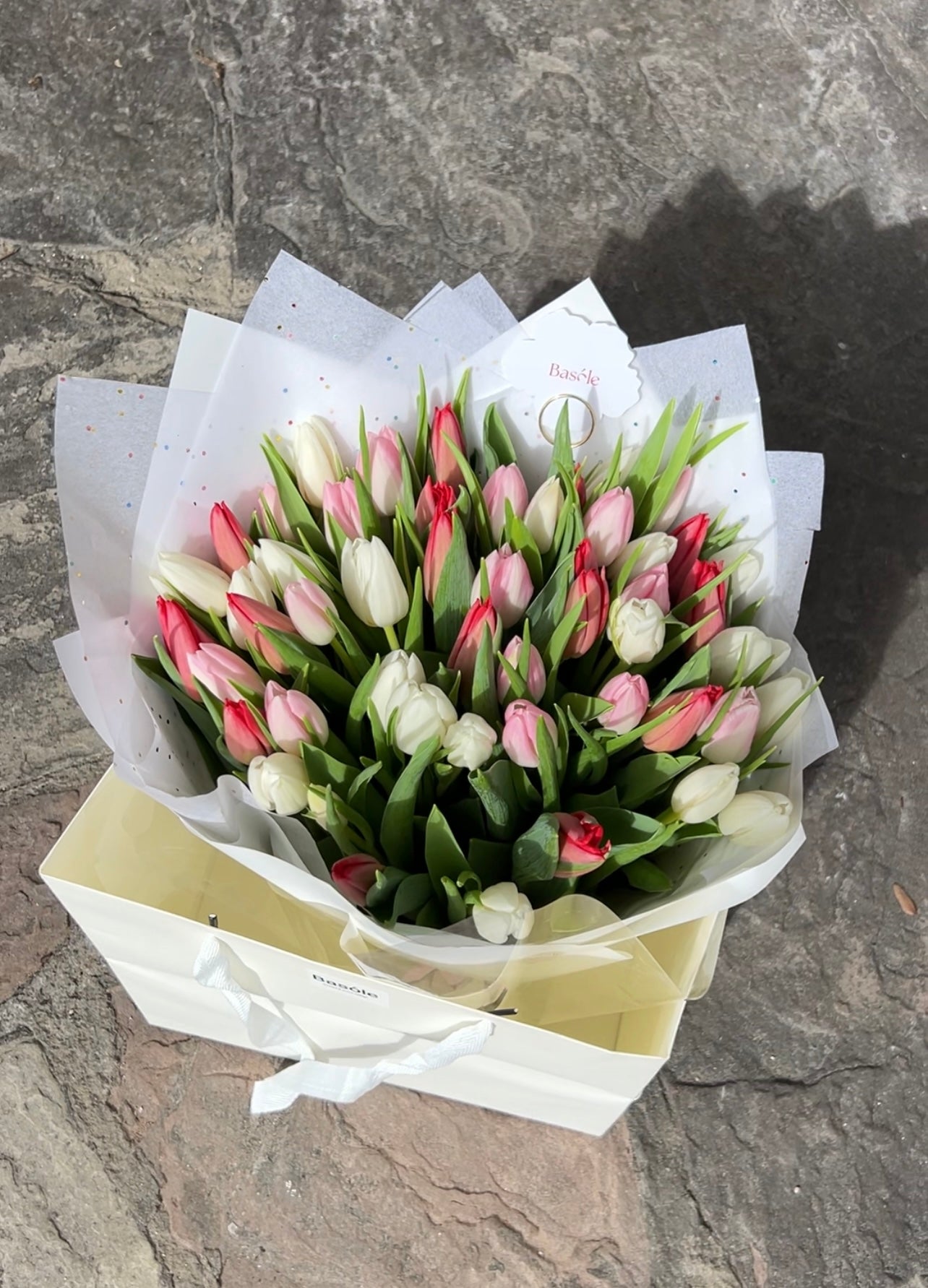 50 Incredible Tulips