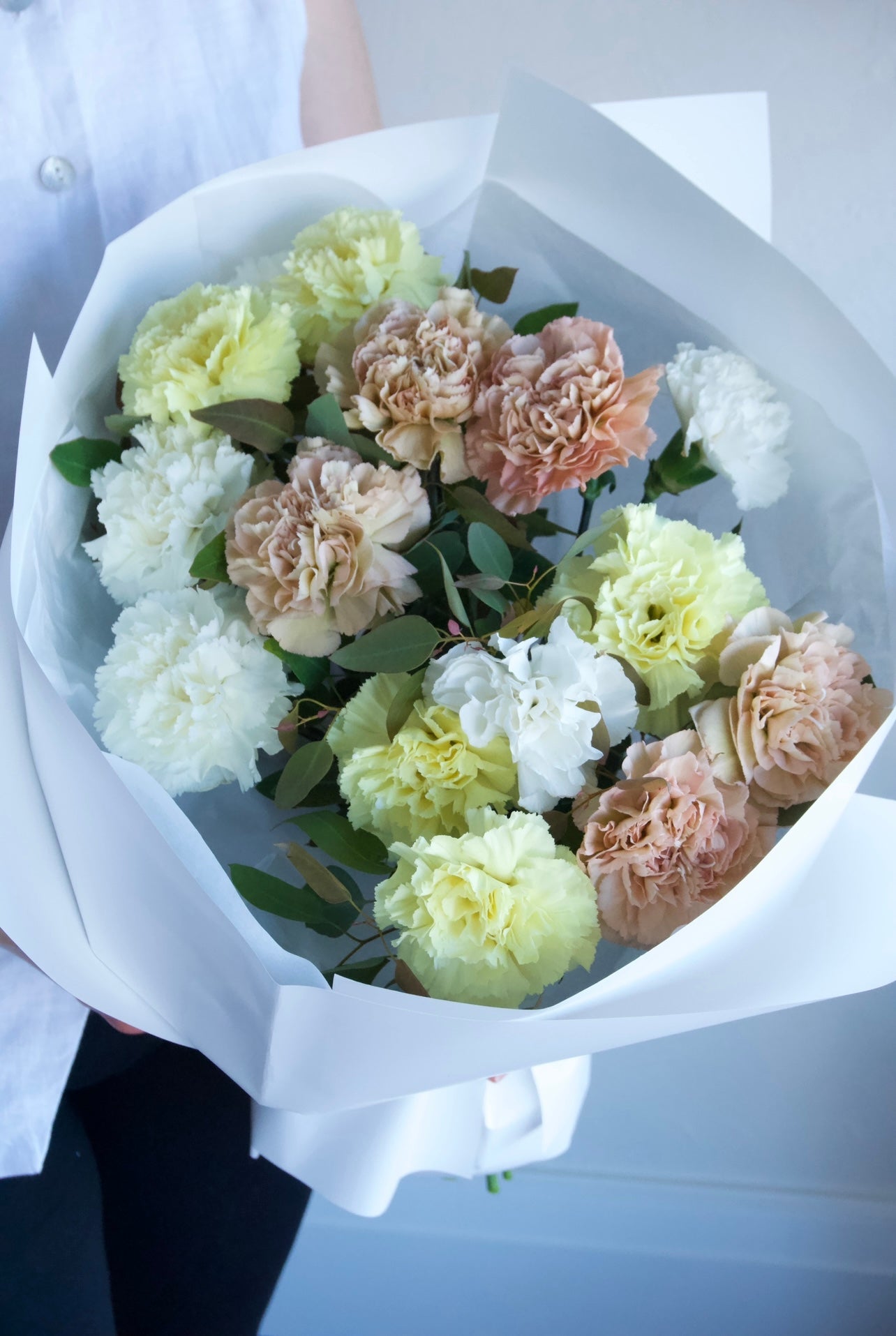 Mono carnations